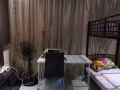 榜鹅公寓普通房找一女搭房
