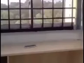 西部房屋出租