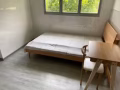 Canberra 普通房出租 common room for rent