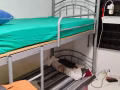 大巴窑祖屋大牌195, 包水电网，报服务业本屋地址