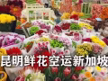 新加坡樟宜機場鮮花空運清關,雲南、荷蘭鮮花進口新加坡報關流程