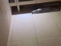 文理地铁站巴士站附近，有隔间出租