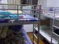 本人屋主，有普通房男生床位出租。