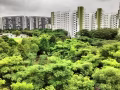 既可入住