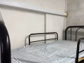 招金文泰男搭房