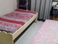 女生床位出租两人一房，一人$500