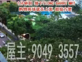 中巴魯單間