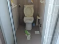 短租3到六個月