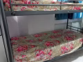 $400床位出租一间房4个人上下铺 水电网全包马来西亚人