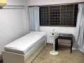 Havelock height普通房出租