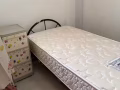 淡滨尼东男搭房女搭房