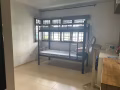 先驱地铁站附近男搭房出租（服务业地址）