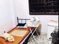 Balestier Whampoa 黄埔HDB 床位出租，女搭房 SGD430