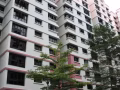大牌654A 裕廊西61街普大通房出租