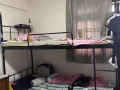 招一位男租客