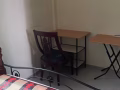 AMK/Yishun/Woodlands/Sembawang北部普通房间/床位出租