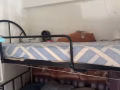 報本屋地址，主人房，4個女性