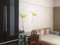 5分钟bukit batok地铁 大普通房，无屋主二房东