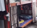 麦波申有女床位出租