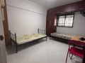 宏茂桥amk大牌319 普通房/夫妻房出租