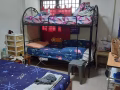 $500! 男搭房大牌15 座 telok blangah crescent for rent!
